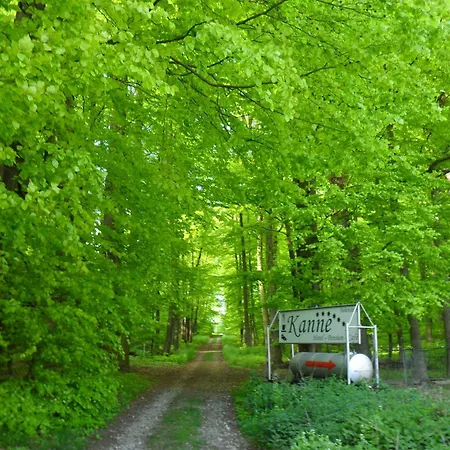 Haus Kanne Bad Driburg