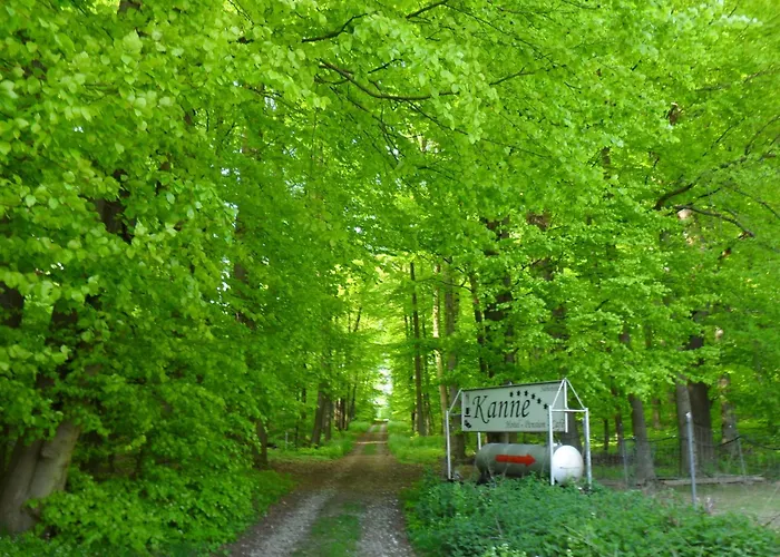 Haus Kanne باد دريبرغ